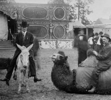 Circus Animals, Sea Island