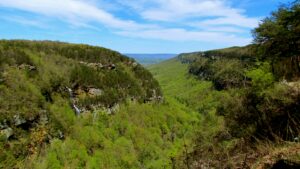 Georgia State Parks