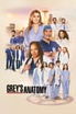 Grey's Anatomy poster