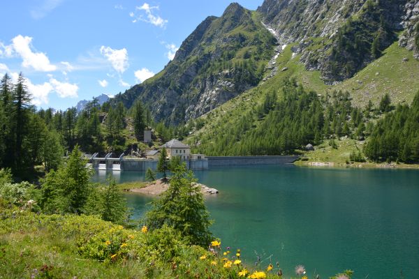 Lago,Acqua,Montagna,panorama