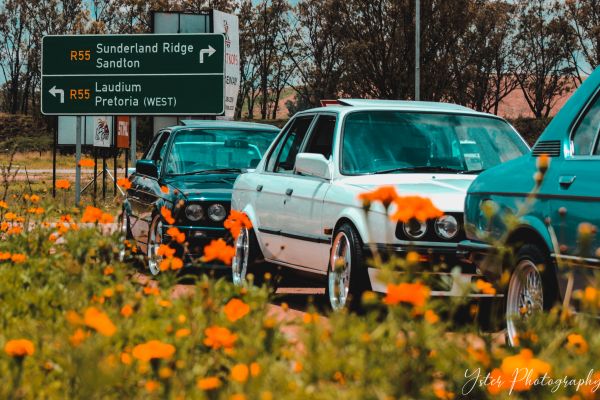 BMW,E30,África do Sul,flor,domingo,Sunny day