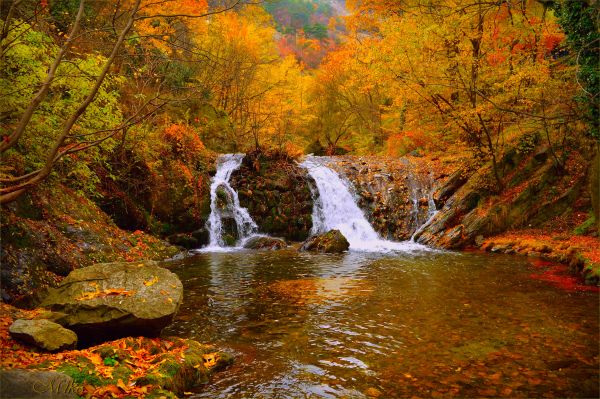 naturaleza,cascada,otoño,río,otoño