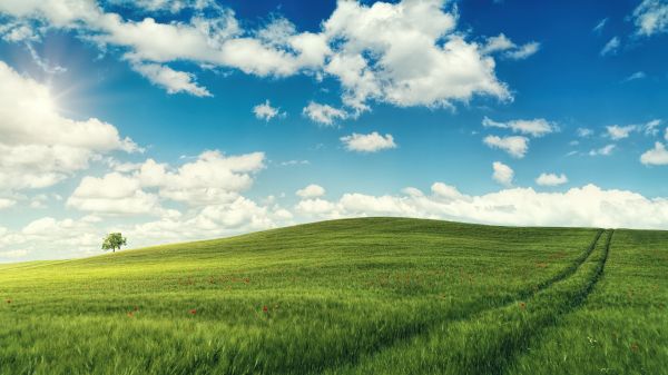 φυσικός,σύννεφο,ουρανός,φυτό,Natural landscape,People in nature