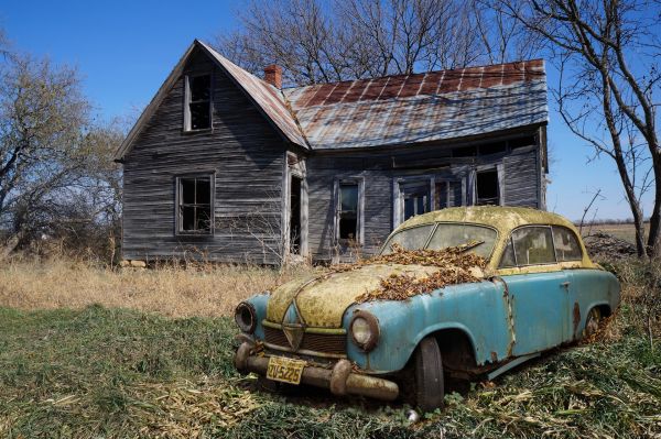 sky,tire,plant,car,vehicle,house