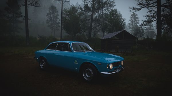 auto,pioggia,alfa,blu,foresta,GTA