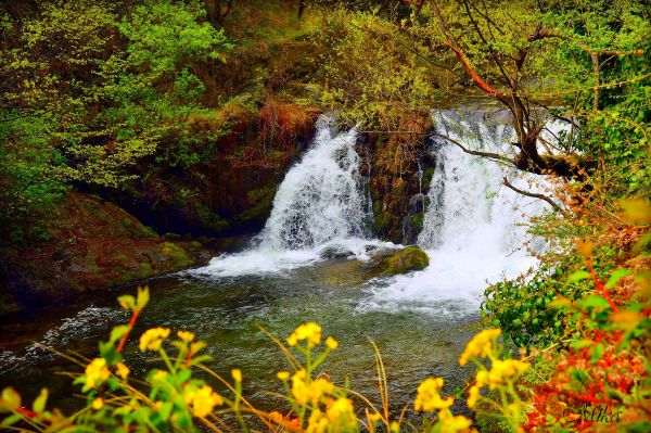 natur,Vattenfall