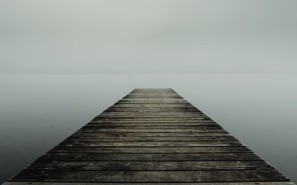 calm,fog,lake,morning,still,water