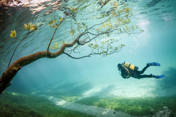 acqua,natura,Malavita,boschi,azzurro,pianta