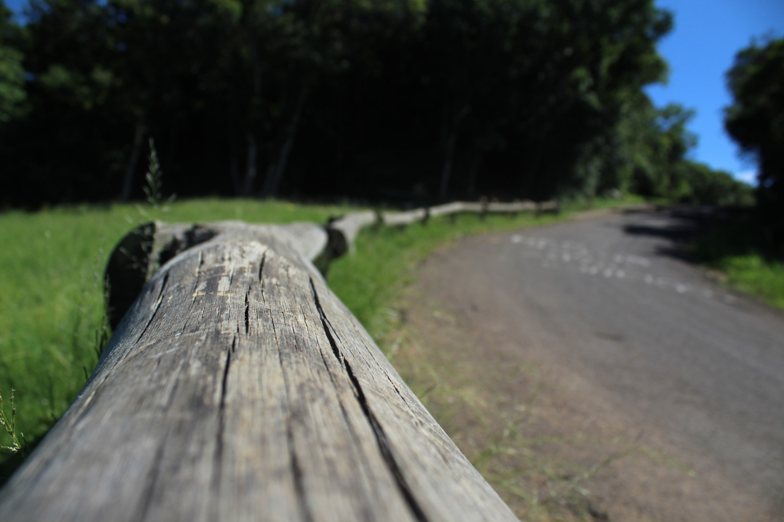 tapet, panoramă, Floresta, Rua, estrada, dia, Sol, selva, madeira, Arvore, Natureza, CEU, Cidade, urbano, Viagem, Carros, grama, folhas, Fundo, desfoque, desfocado, plantă, copac, Natural landscape, lemn, Artera, iarbă, drum, suprafața drumului, trompă, peisaj, working animal, cer, pășune, asfalt, pădure, orizont, alee, traseu, Boardwalk, animale sălbatice, cale, structura nonbuilding, doc, păşune, prerie, drum noroios, zonă umedă, deal, stâncă, sol, camp, pădure, rezervor, guard rail, timp liber, pod, tulpina plantei, BANDĂ