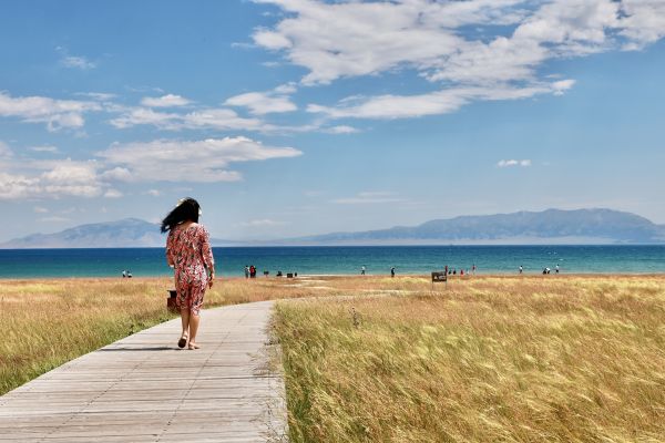 παραλία,σύννεφο,ουρανός,νερό,φυτό,People in nature