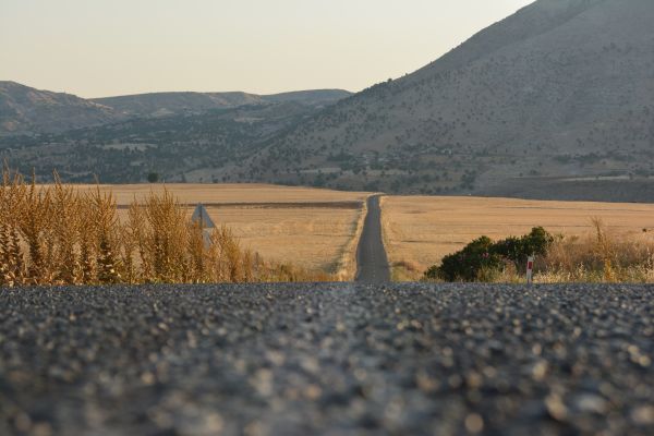 Турция,Любительский,природа,лето,фотограф