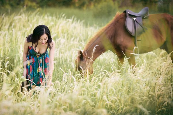 belleza,doblado,busto,caballo,pelo largo,pradera