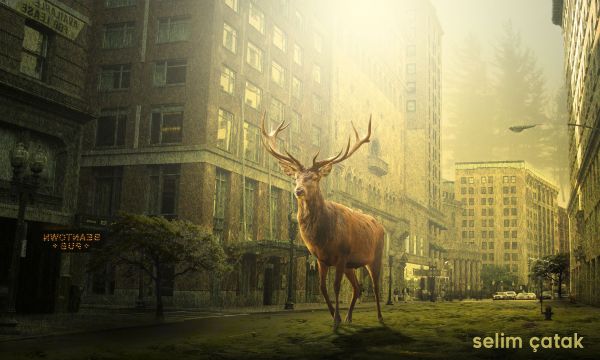 beautiful,buildings,city,deer,fantastic,fog