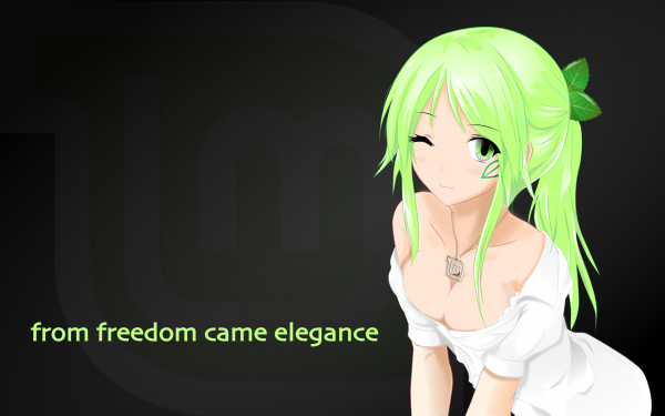 Os-tan,Linux Mint