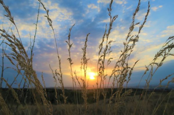 natura,tramonto