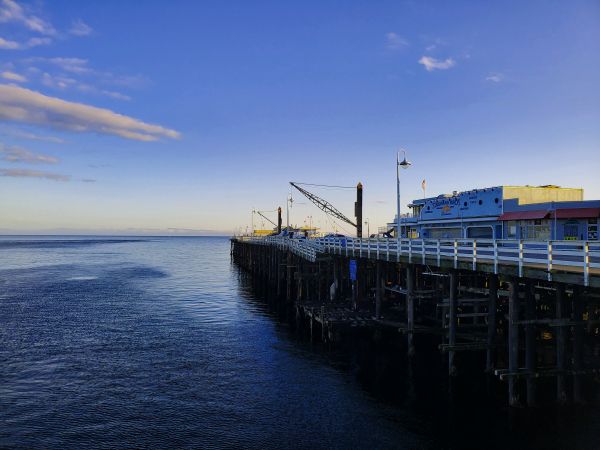 California,santa cruz california,beach,sunset,pier,sea side