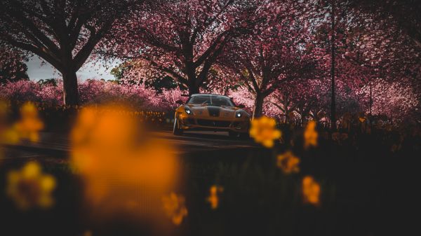 フェラーリ,数式のドリフト,フォルツァ,Forza Horizon 4,車,車両