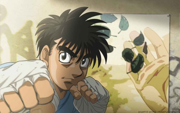 拳击,画画,插图,动漫,动画片,Ippo