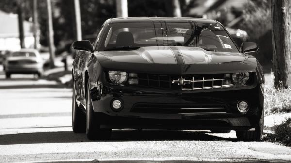 auto,veicolo,monocromo,coupe,Chevrolet,ruota