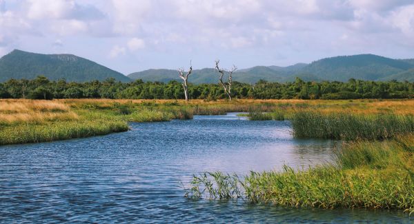 Australien,Natur,Landschaft,Feuchtgebiet,See,Hügel