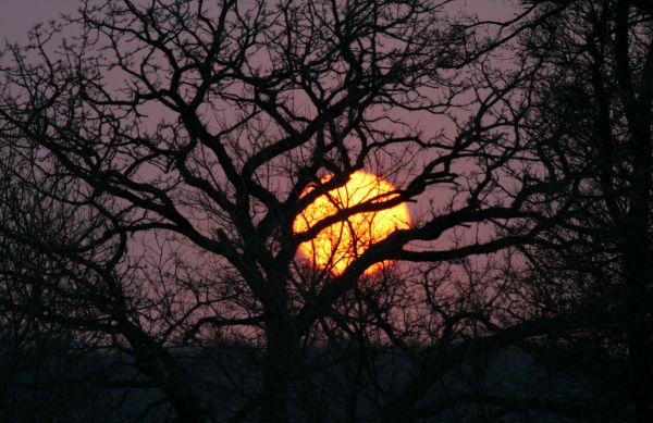 luz solar, Pôr do sol, Árvores, montanhas, noite, crianças