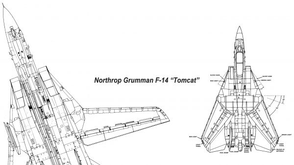 Marina Militare,Marina degli Stati Uniti,F 14 Tomcat,Grumman F 14 Tomcat,caccia,infografica