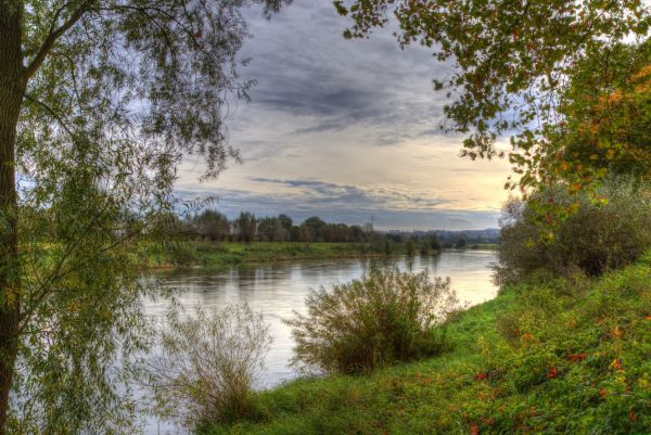 slunečnímu záření,stromy,krajina,les,podzim,jezero