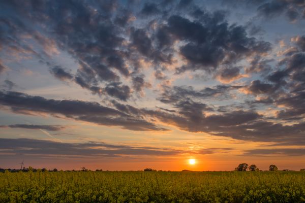 Pôr do sol,céu,nuvem,campo,panorama,campo