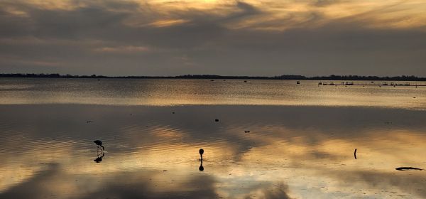 Lagune,Flamingos,Sonnenuntergang