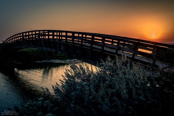 Sardegna, kamera, solnedgang, Sky, Strand, bro