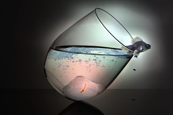 Wasser,Betrachtung,Glas,KUNST,Licht,Fuga