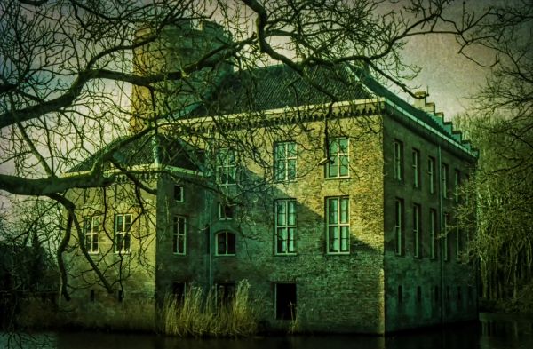 architecture, contraste, forêt, nuit, bâtiment, réflexion