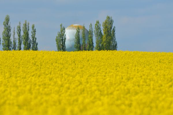 Франция,Bleu,Fleurs,Jaune,Nikon,Ciel