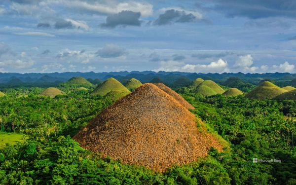 Chocolate Hills,Tepeler,doğa,Manzara,Bohol,Filipinler