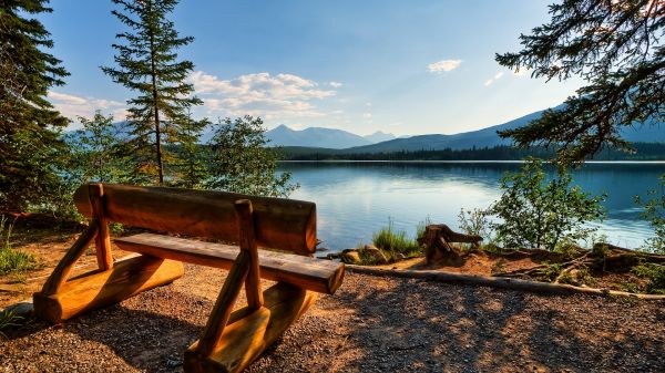 Árboles,paisaje,lago,agua,naturaleza,reflexión