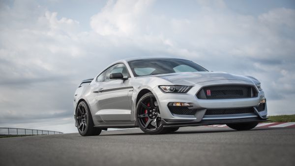 autó,jármű,izomautó,Ford Mustang Shelby GT350