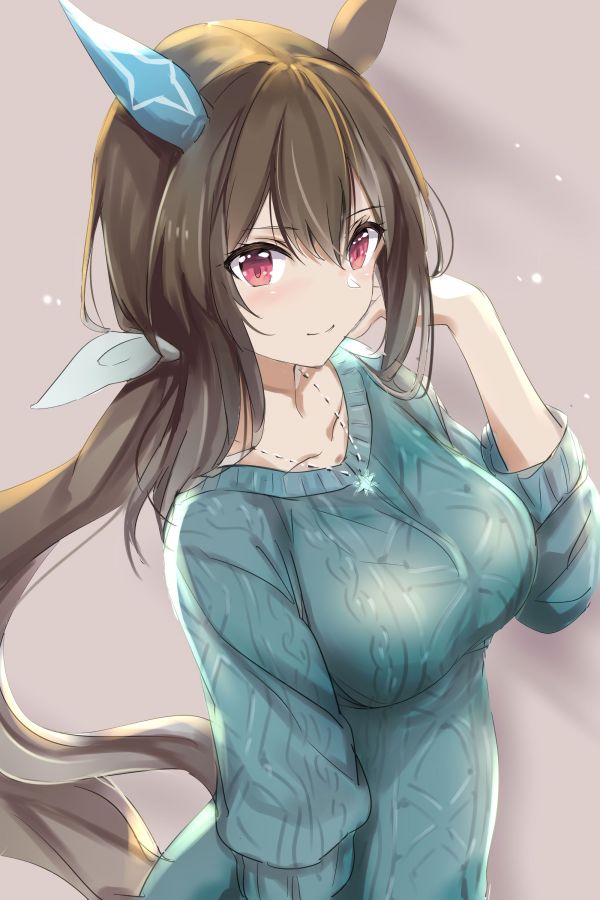 anime,animemeisjes,Uma Musume Pretty Derby,Admire Vega Uma Musume,lang haar,brunette