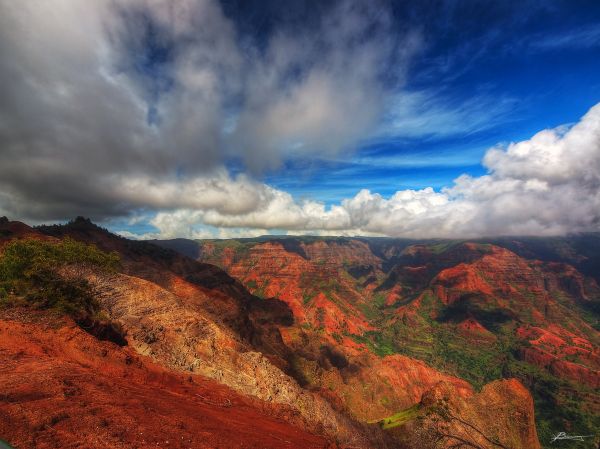 trees,red,ocean,statepark,above,old