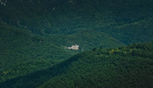 natura, paesaggio, alberi, foresta, verde, costruzione