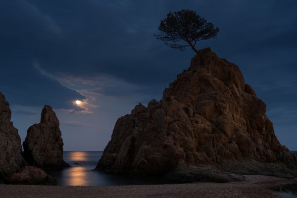 des arbres,paysage,le coucher du soleil,mer,baie,Roche