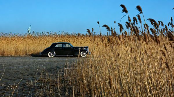 films,film stills,De peetvader,gras,Vrijheidsbeeld,oude auto