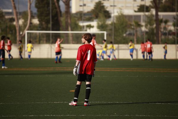 sport, gress, team, fotball, stadion, ball