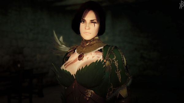 1920x1080 px,Black Desert,zwarte woestijn online,donker haar,mmorpg,Computerspellen