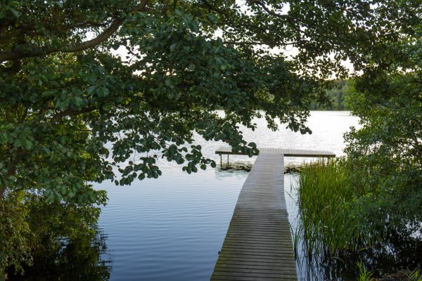 庭園,パーク,湖,水,川,桟橋