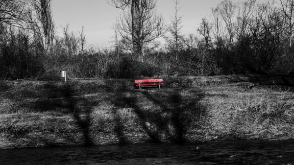 la photographie,des arbres,en plein air,Coloration sélective,banc,rivière