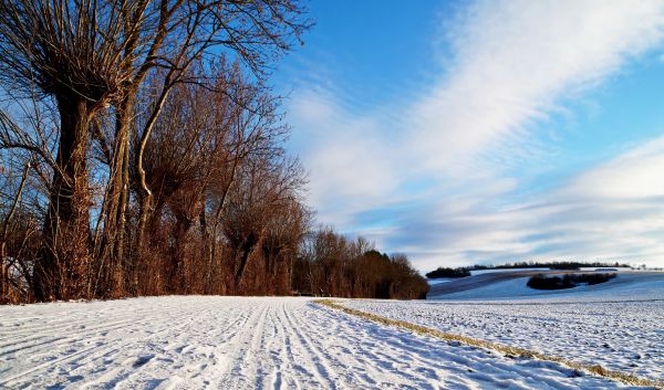 зима,Schnee,schneelandschaft,eisingen,B ume,Weg