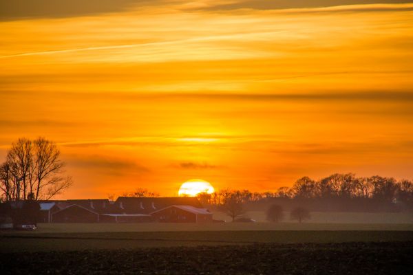 sollys,landskap,solnedgang,hav,himmel,felt