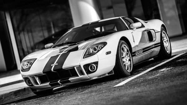 monocromático,Ford GT,carro