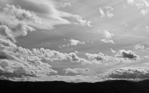 landschap,contrast,vallen,monochroom,hemel,winter