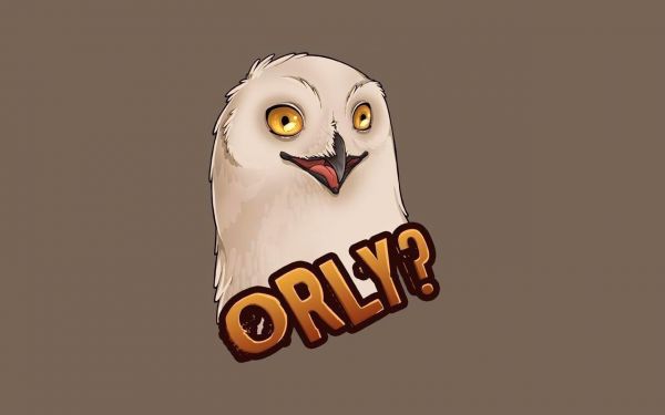 oiseau de proie,hibou,oiseau,illustration,dessin animé,marque